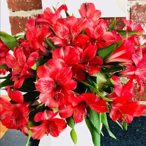 Meet your Posher, Mabel